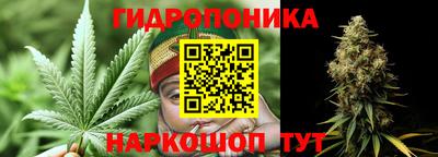 мяу мяу мука Кудрово
