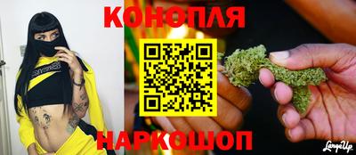 мяу мяу мука Кудрово