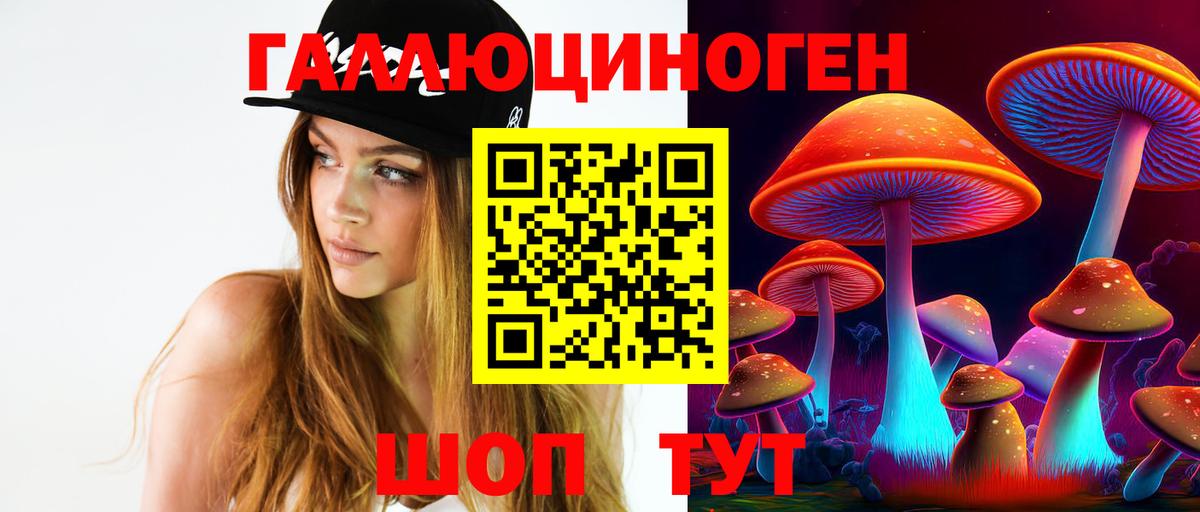 Псилоцибиновые грибы Cubensis  Вход с VPN  Кумертау 