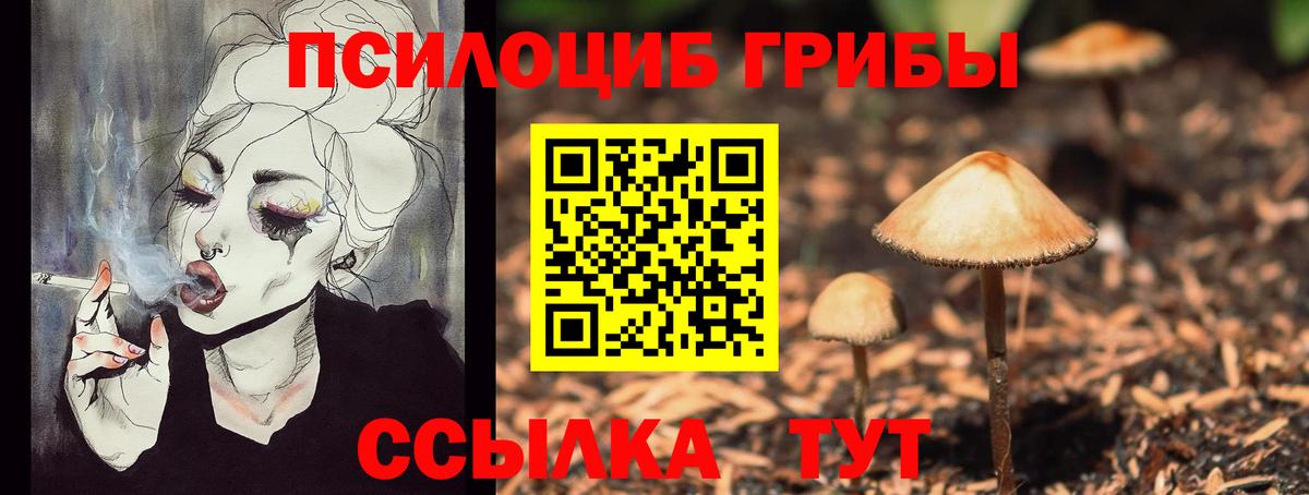 Псилоцибиновые грибы Cubensis Кумертау